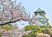 米兰体育app下载-但愿这边风景独好